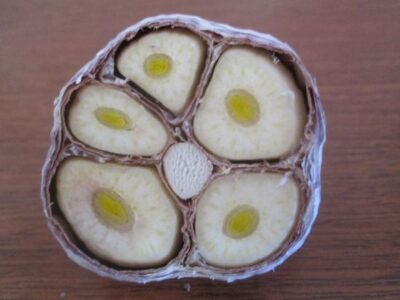 hardneck-garlic